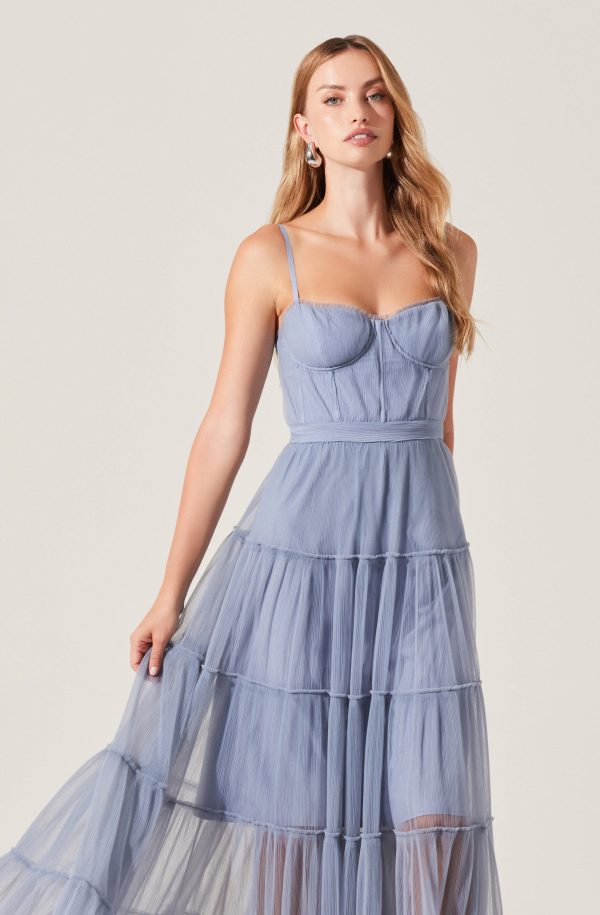 Mireya Bustier Tulle Maxi Dress - Image 4