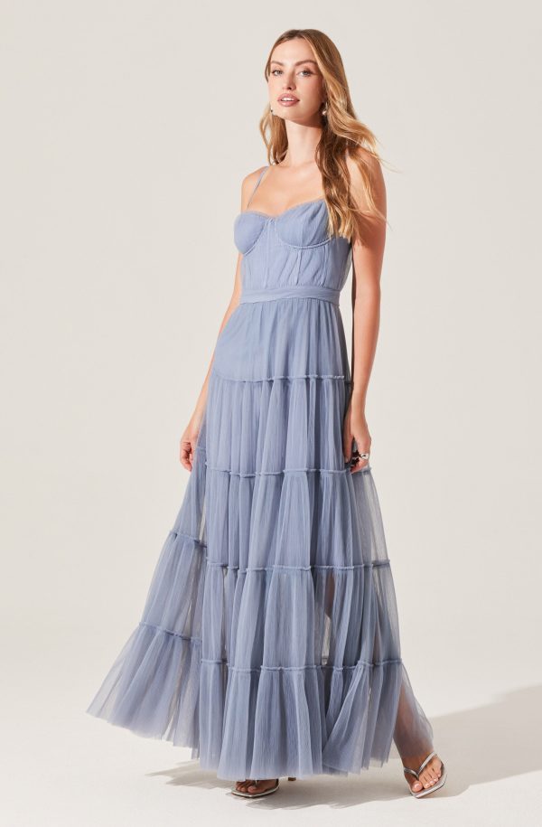 Mireya Bustier Tulle Maxi Dress - Image 3