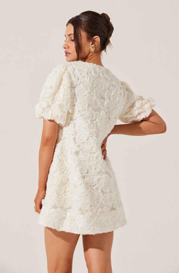 Lakelyn Floral Embroidered Mini Dress - Image 5