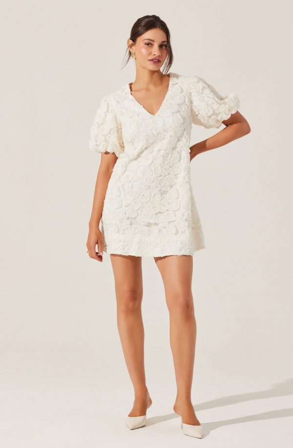 Lakelyn Floral Embroidered Mini Dress - Image 2