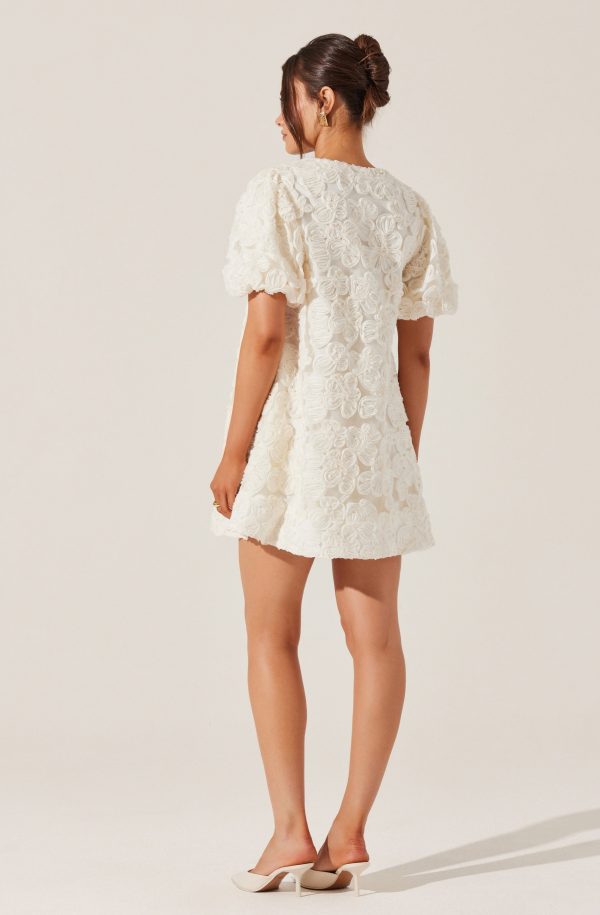 Lakelyn Floral Embroidered Mini Dress - Image 3
