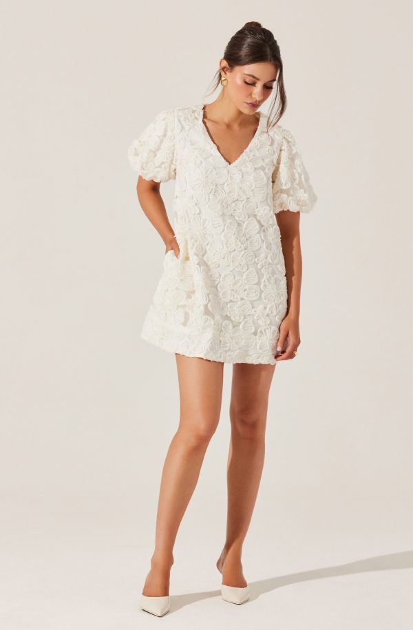 Lakelyn Floral Embroidered Mini Dress - Image 6
